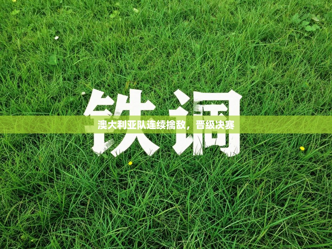 澳大利亚队连续擒敌，晋级决赛  第2张