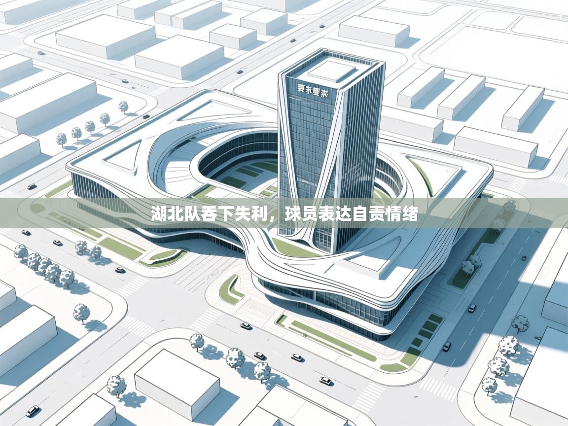 湖北队吞下失利，球员表达自责情绪  第2张